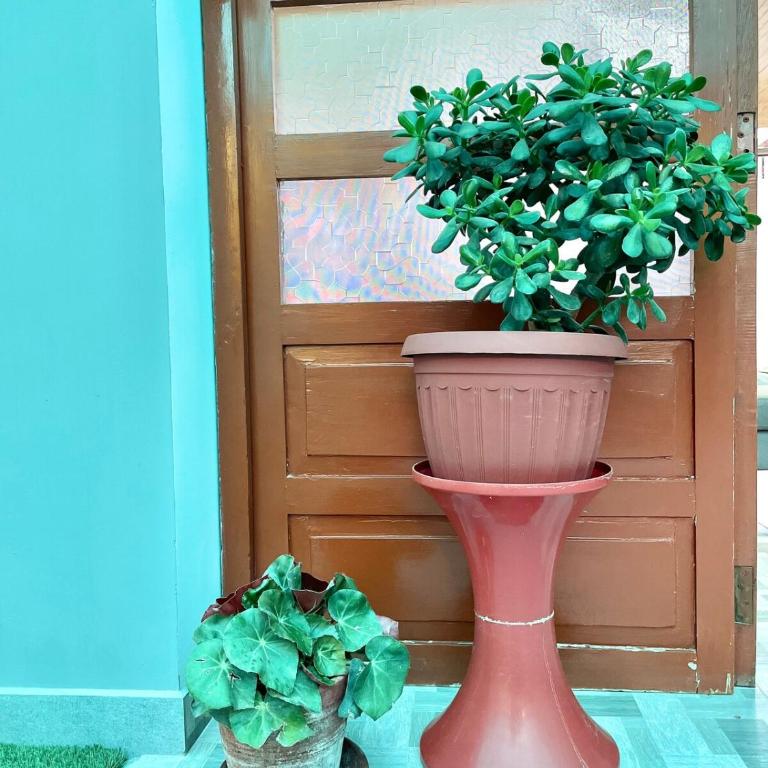 Casita Cusco Spacious 2BR apartment great views, balcony, WiFi - Apartamento de 2 dormitorios - 54