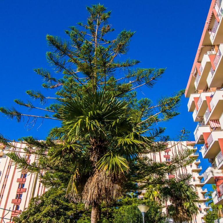 421 Júpiter Apartamento - Vista lateral al mar y a las montañas - Playa a 600 metros - Estudio - 18