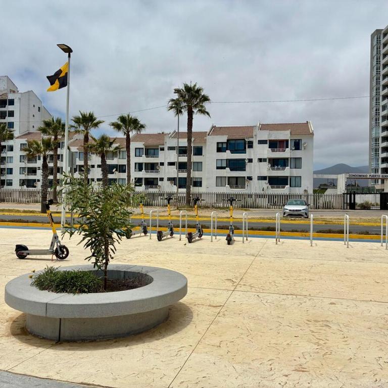 Departamento Borde Mar - Three-Bedroom Apartment - 8