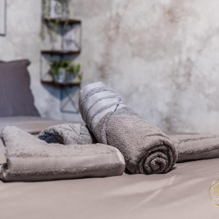 Cozy studio La Fabrique balcony & free parking - Apartment mit 1 Schlafzimmer - 8