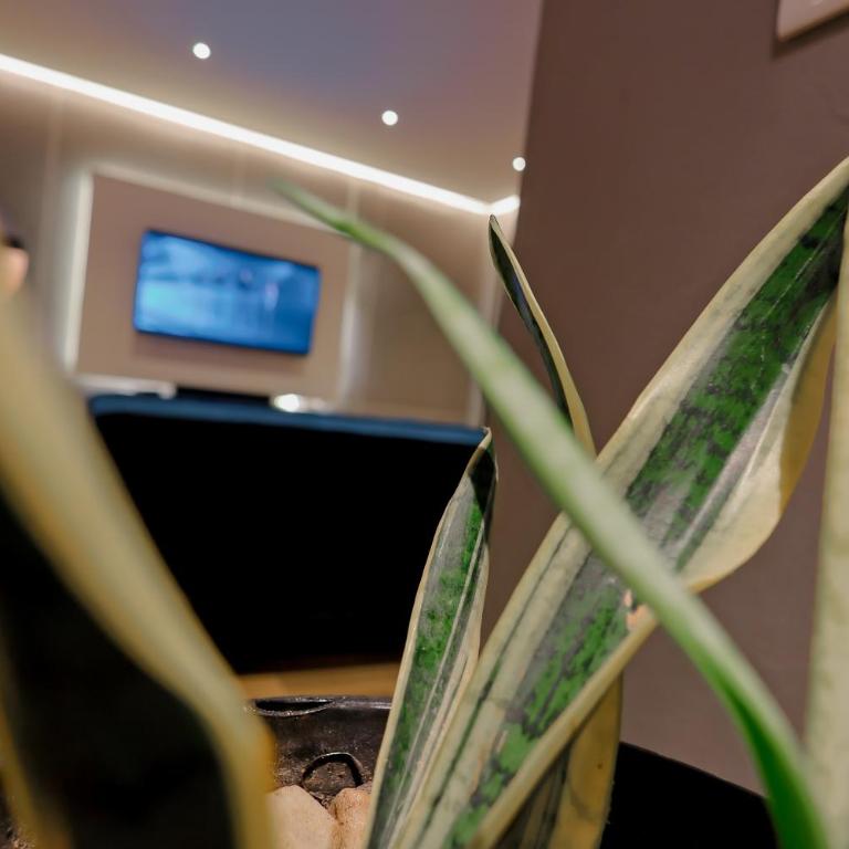 Hermoso LOFT en Guaduas - Apartamento de 2 dormitorios - 8