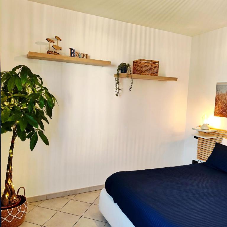 Almarea Beach - Essenza del mare, calore di casa - Appartamento con 1 Camera da Letto - 3