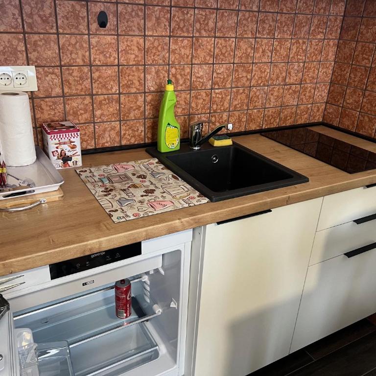 Apartman Eden Zlatiborski konaci K35 - One-Bedroom Apartment - 6