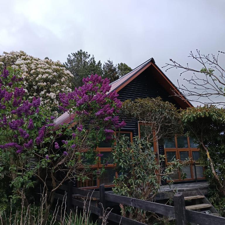 Cabaña el bosque de la bruja - Three-Bedroom Home - 1