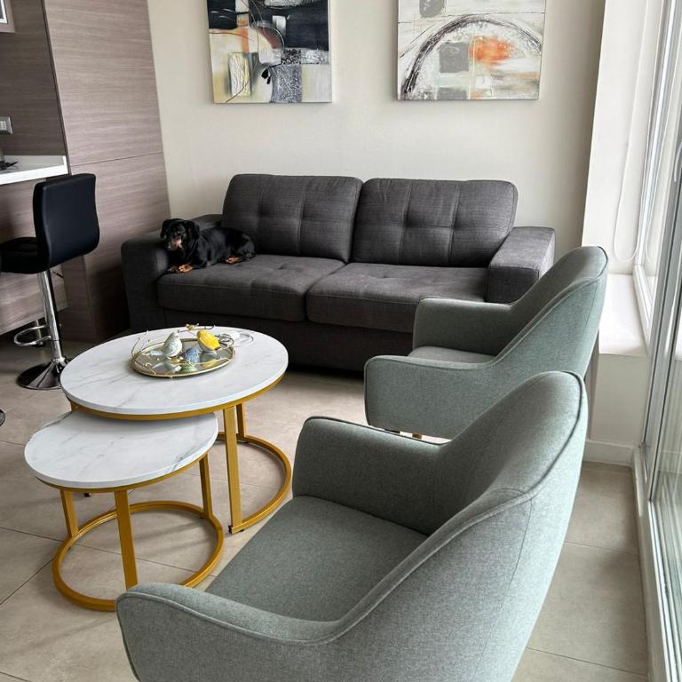 Departamento Concon - One-Bedroom Apartment - 15
