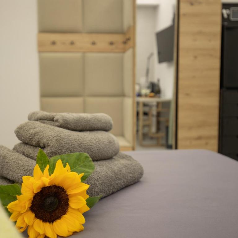 Sora Maria Rooms in Rome - King Room with Balcony - 9