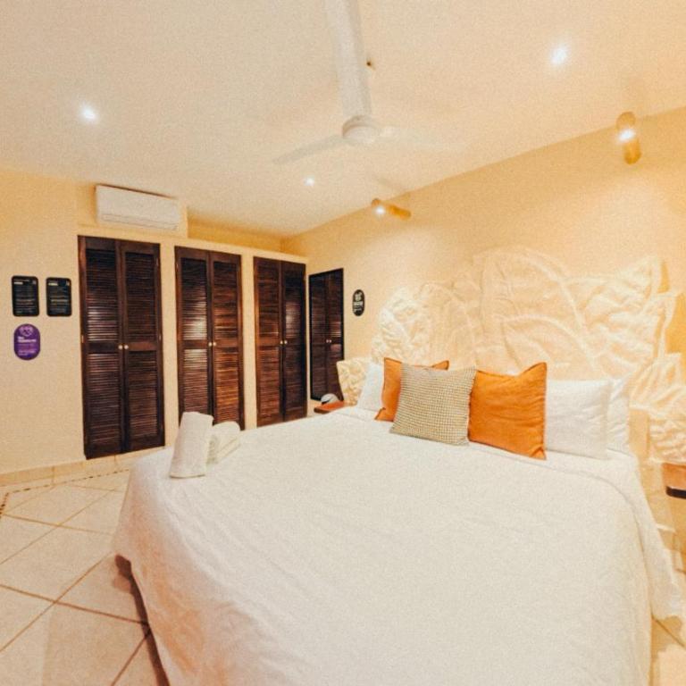 Viajero Bacalar Hostel - Habitación Individual Estándar - 2