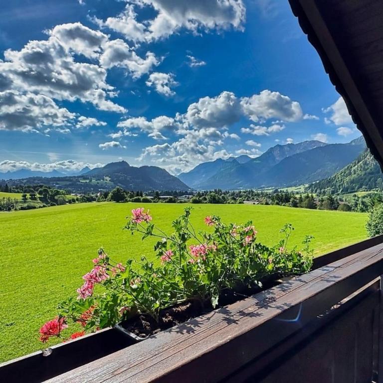 Ferienwohnung Alex im Haus Dorn-Röschen, Pfronten im Allgäu - Apartment - 1