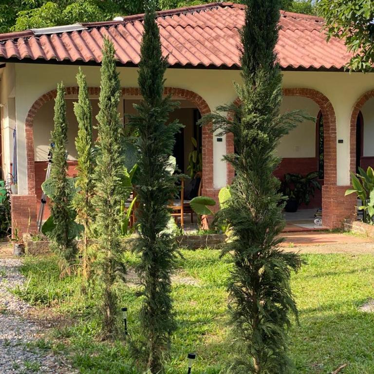 cabaña campestre san pedro - Three-Bedroom House - 3