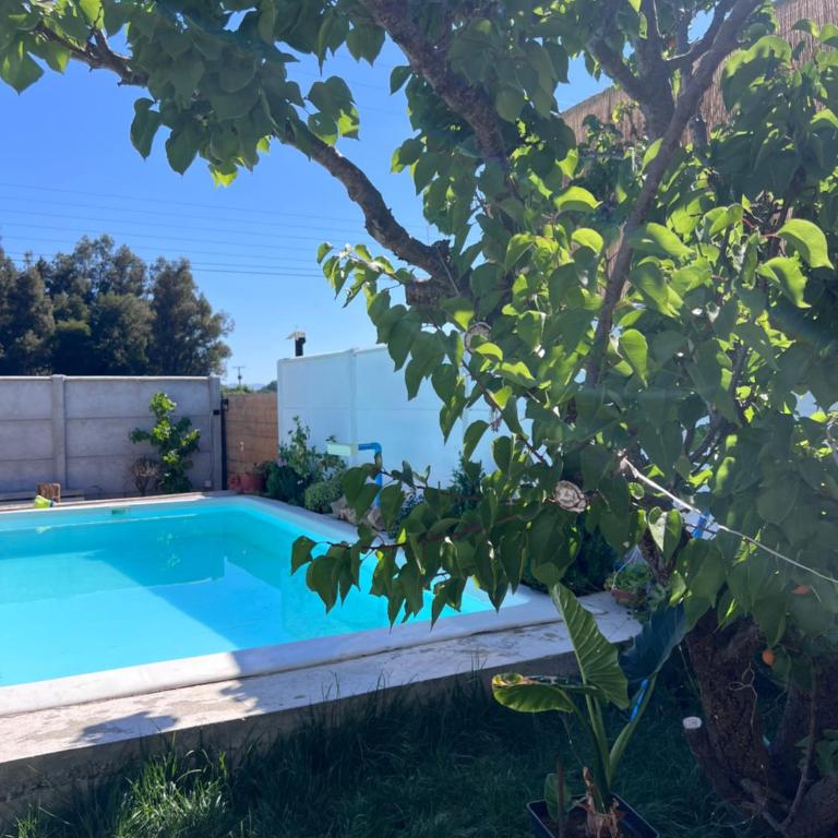 Casa Maly, valle de apalta, Santa Cruz - One-Bedroom Villa - 1