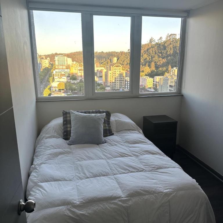 Apartment en Concepcion 2D2B and parking - Two-Bedroom Apartment - 2