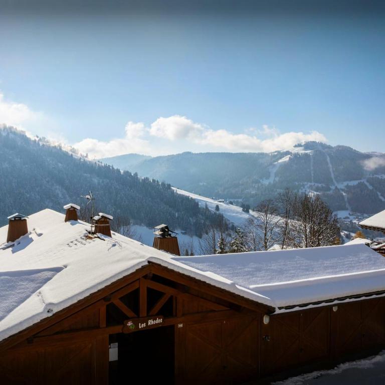 Cluzel Alpine Loft - OVO Network - Apartment - 1