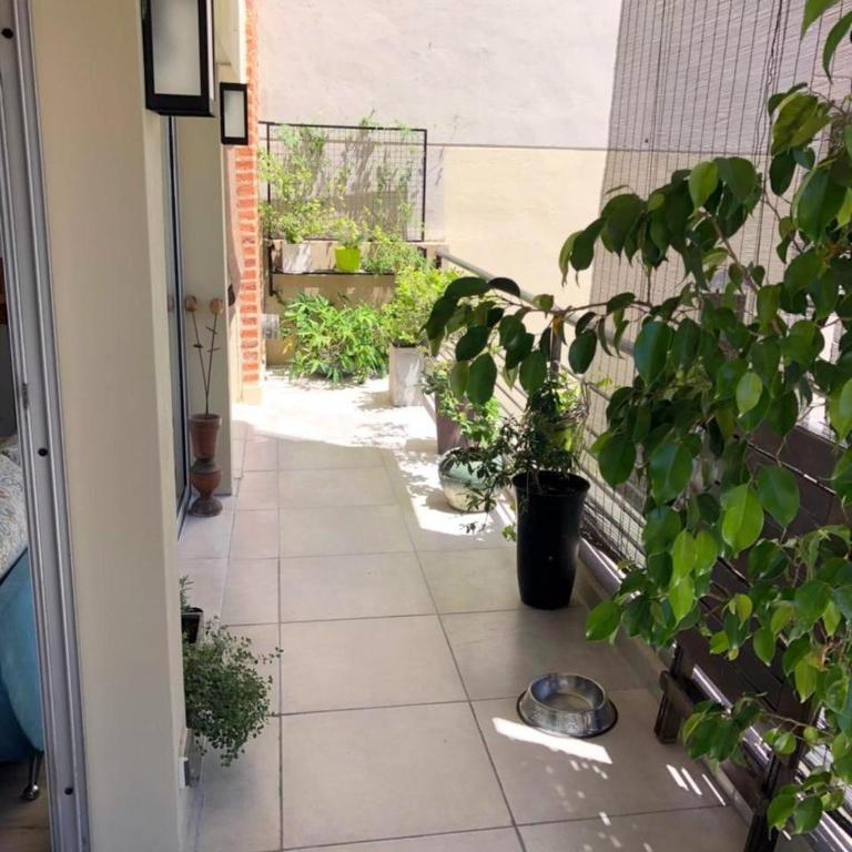 Departamento luminoso a 50 mts del parque - Apartamento de 1 dormitorio - 13