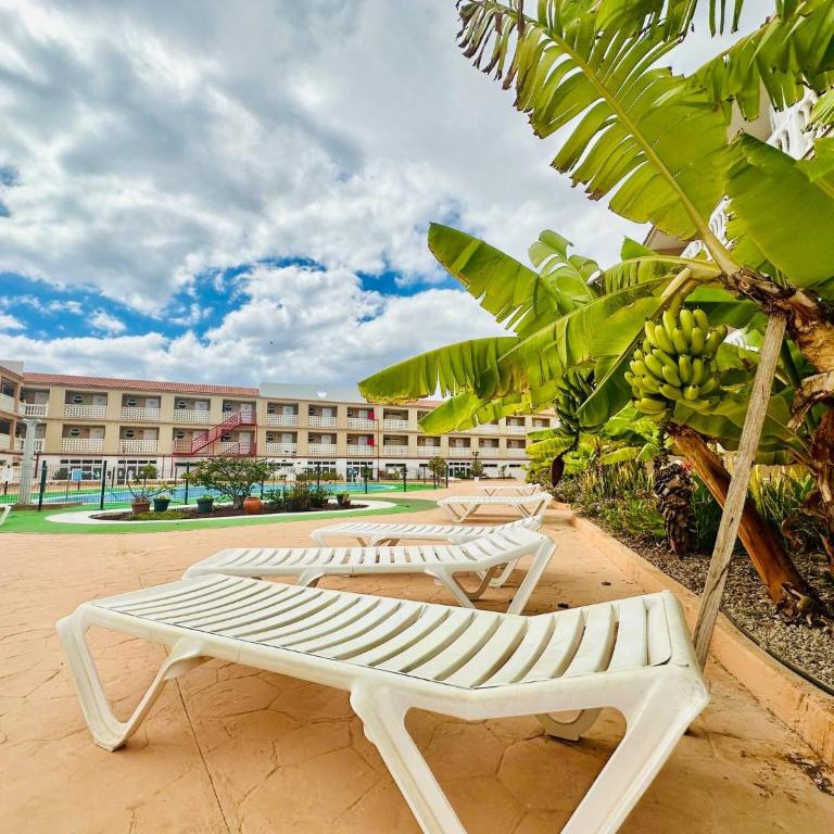 Ocean And Chill - Apartamento - 13