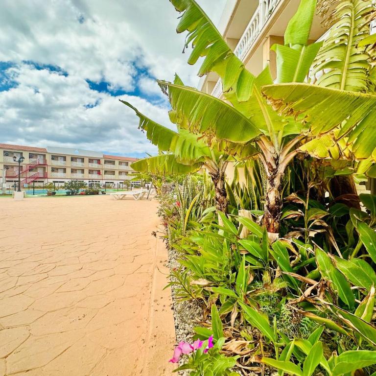 Ocean And Chill - Apartamento - 15