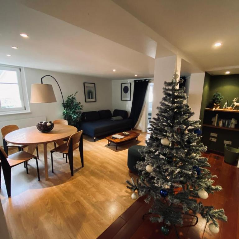 Appartement au coeur du centre historique de Strasbourg - Appartamento con 2 Camere da Letto - 3