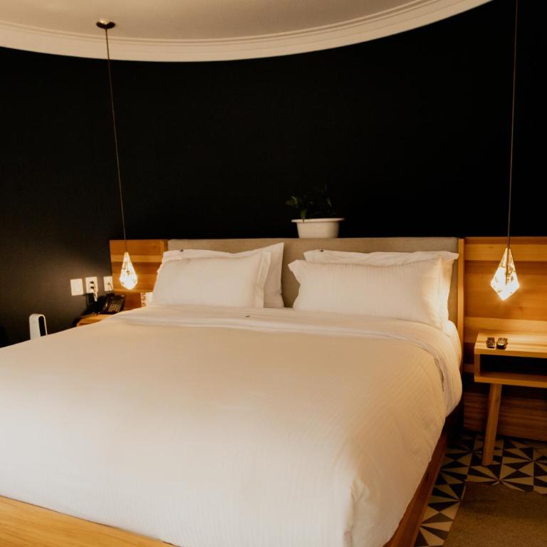 Casa Nuevo Leon - Suite con cama extragrande - 20