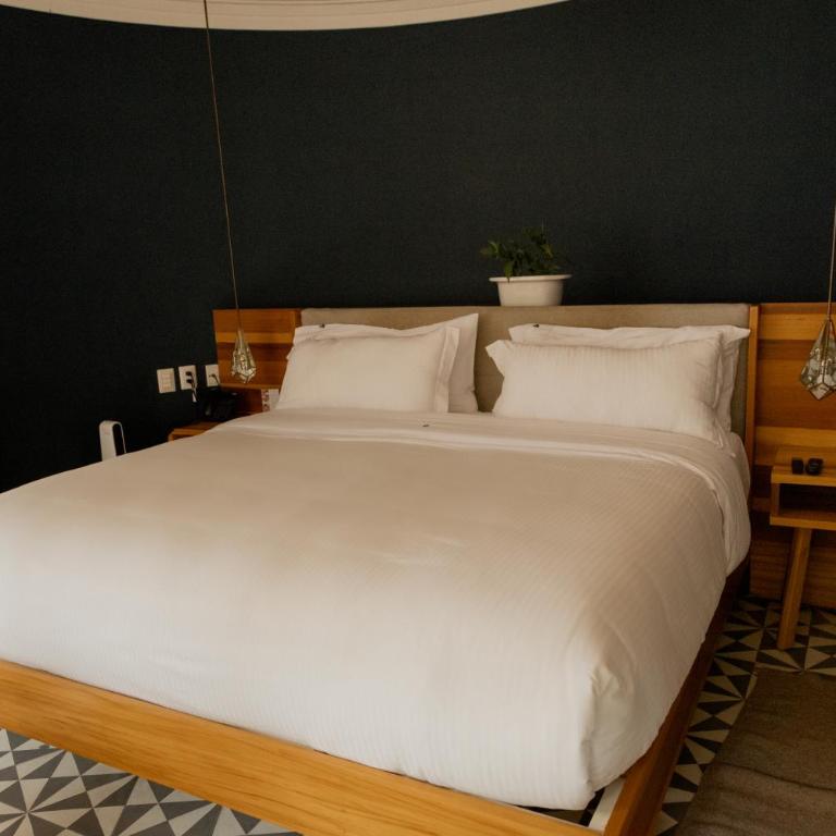 Casa Nuevo Leon - Suite con cama extragrande - 23