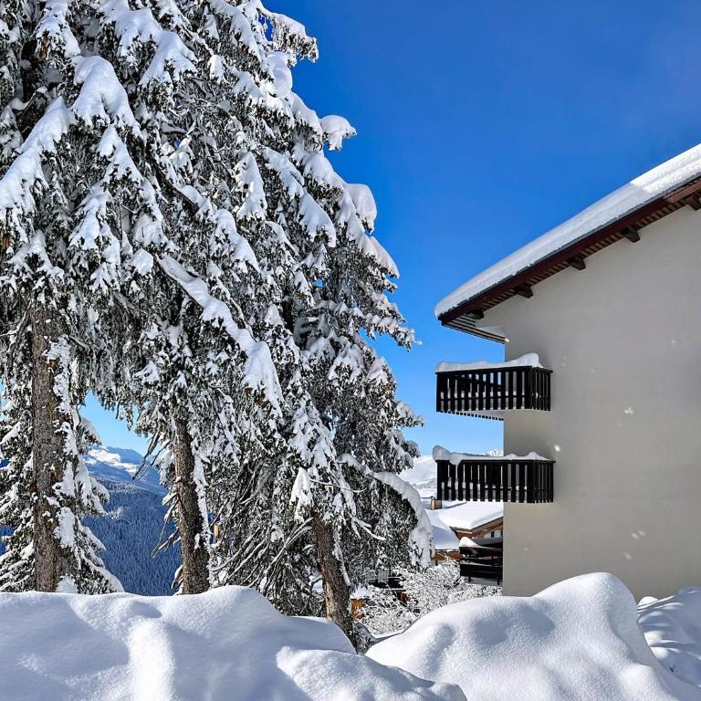 Studio fonctionnel, départ skis aux pieds, terrasse sud - Studio - 7