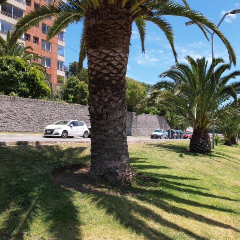 Toma un descanso y relájate mirando el mar - Two-Bedroom Apartment - 24
