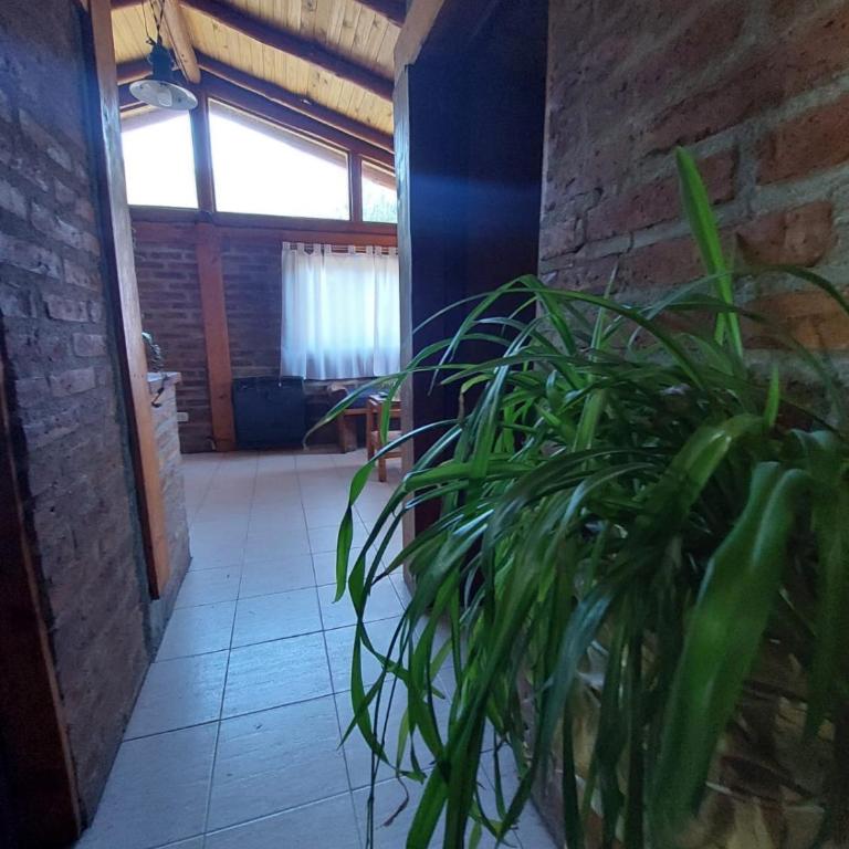 Bosque Nativo - Two-Bedroom Chalet - 17