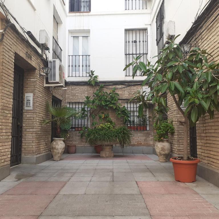 El Balcón de la Torre - Apartamento de 3 dormitorios - 19