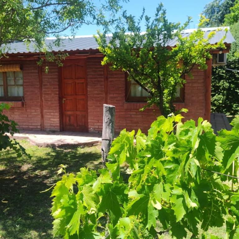 Complejo Los Ciruelos - Bungalow - 22