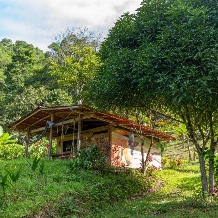 Cinduli Finca Orgánica Cacaotera - Habitación Doble con terraza - 1