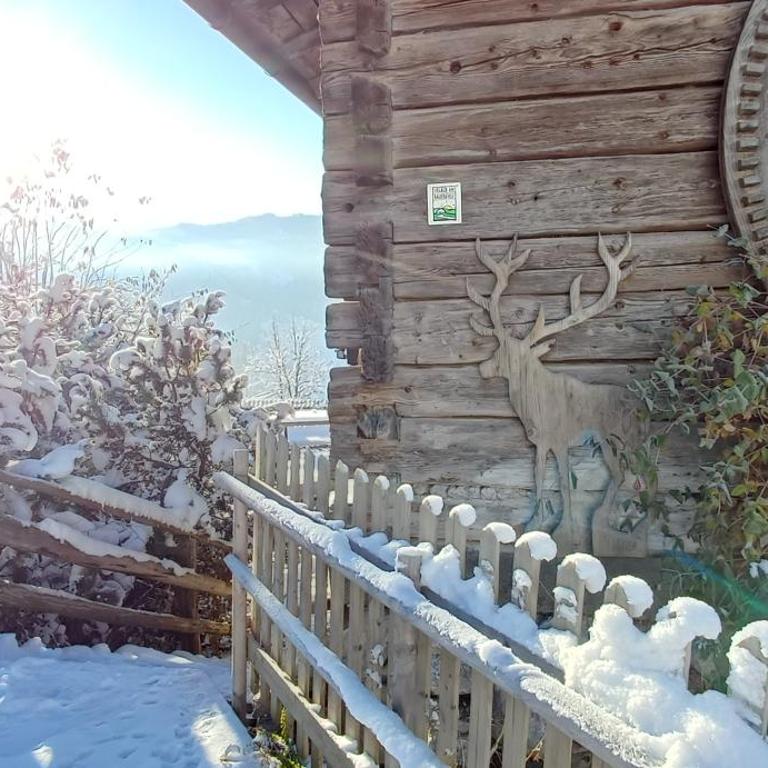 Almhütte Brandgut - Chalet - 52