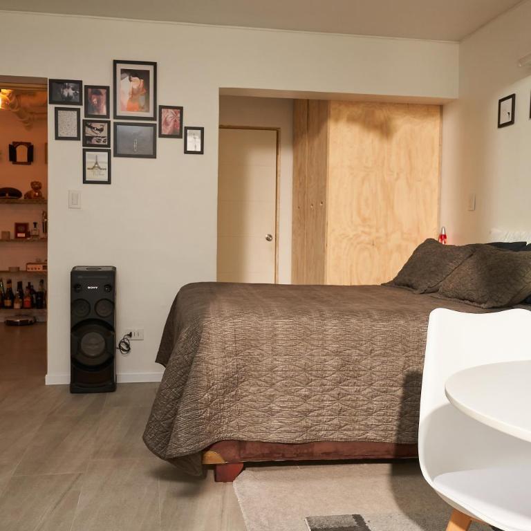 Departamento con patio Bellas Artes - One-Bedroom Apartment - 14