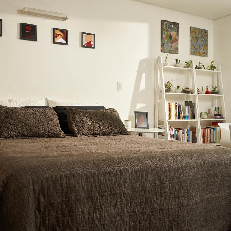 Departamento con patio Bellas Artes - One-Bedroom Apartment - 21