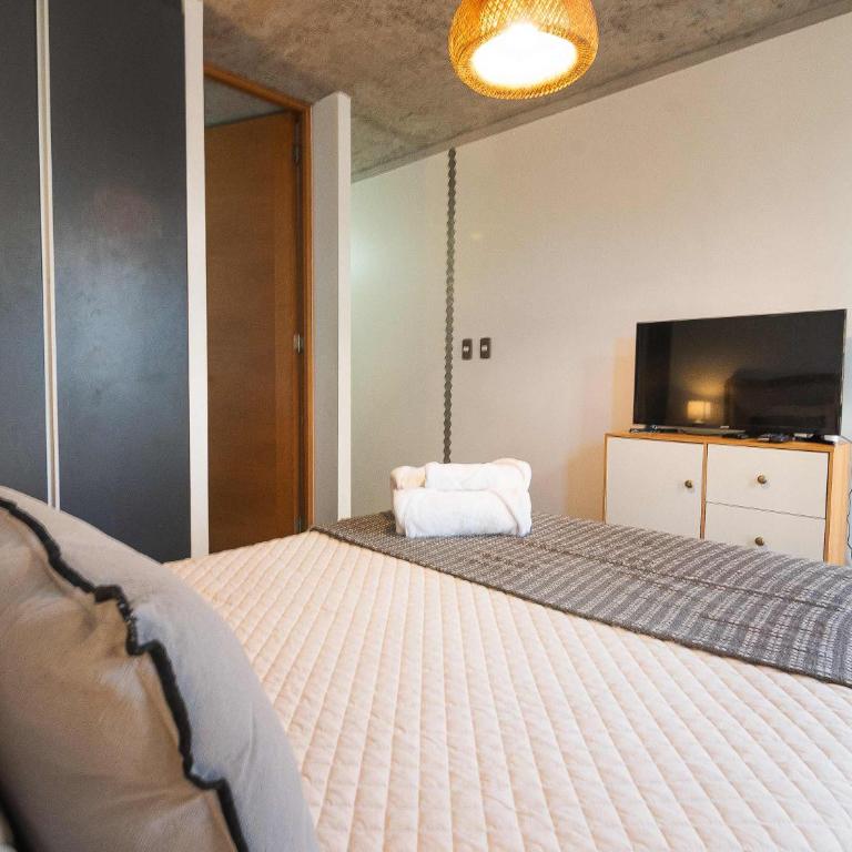 HOM I Piscina I Playa I Estacionamiento I Wifi - Apartment - 18