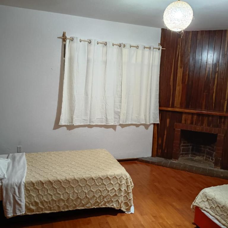Casa Santy Condesa Suites - Double Room with Two Double Beds - 5