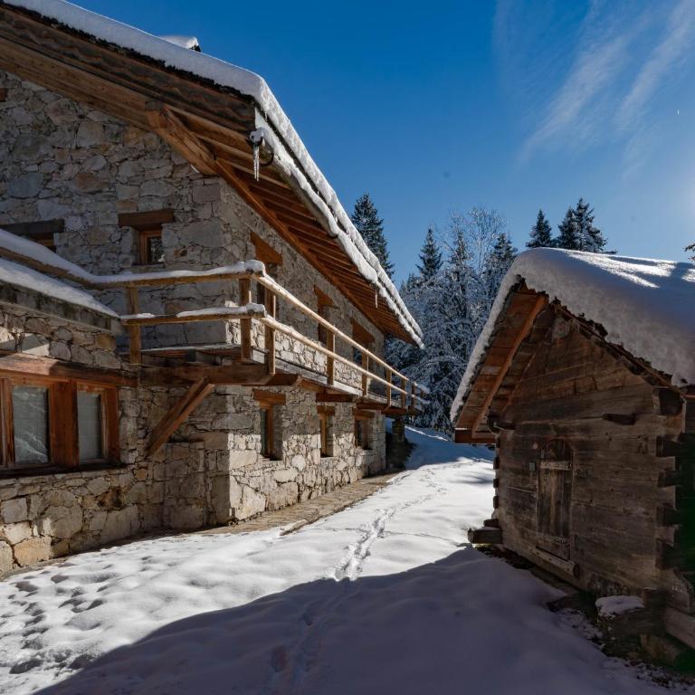 Chalet de luxe aux Allues - FR-1-613-142 - Chalet - 1