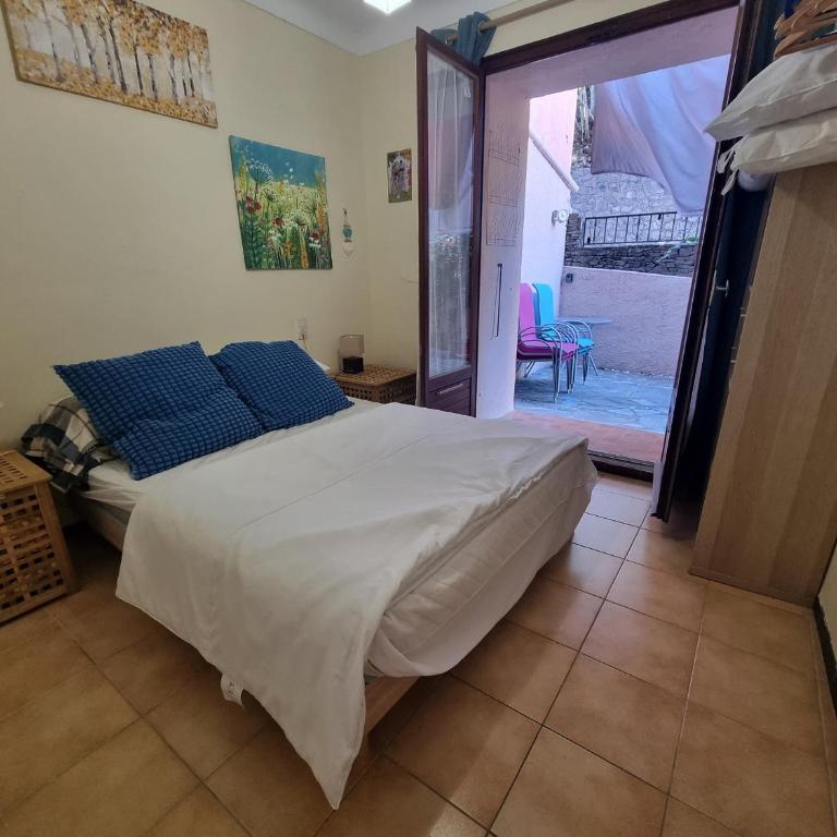 Charmant appartement avec terrasse à Collioure - FR-1-309-484 - Appartamento - 11