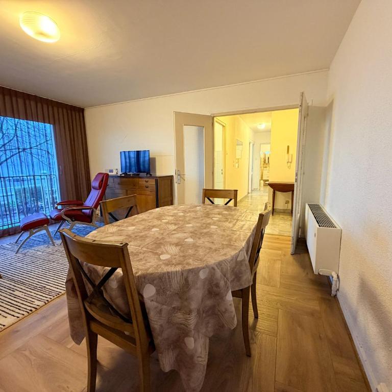 Bel appartement avec animaux admis à Évian - Apartamento de 2 dormitorios - 2