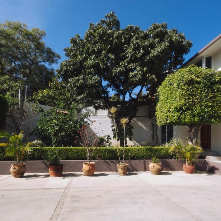 Casa Volcan - Casa de 4 dormitorios - 3
