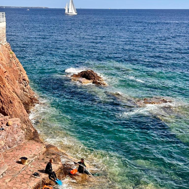 Azuréa Estérel vue mer piscine chauffée classé 3 étoiles - Appartamento con 1 Camera da Letto e Vista Mare - 24