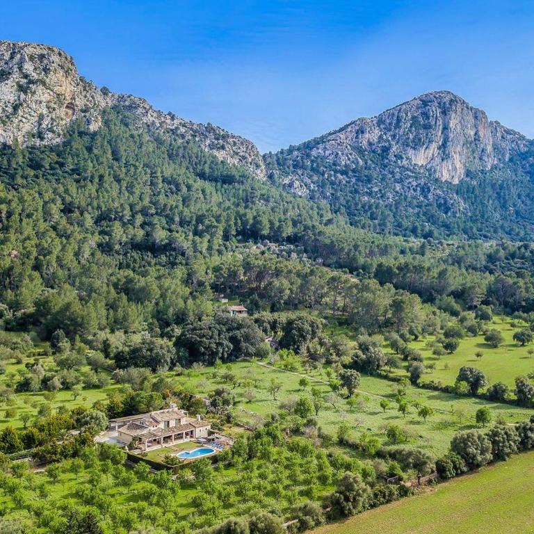 Finca Rafa - Villa de 4 dormitorios - 2