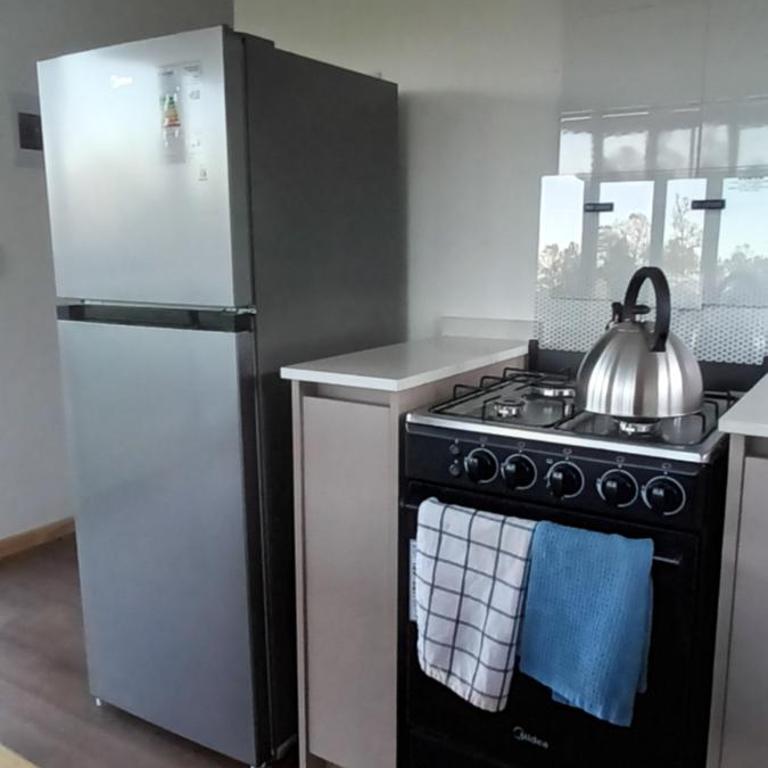 CasaGolondrina, naturaleza, aves cerca de Frutillar - One-Bedroom Chalet - 10