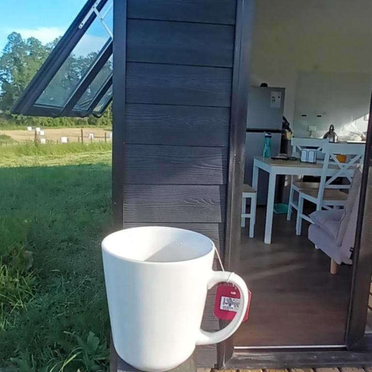 CasaGolondrina, naturaleza, aves cerca de Frutillar - One-Bedroom Chalet - 16