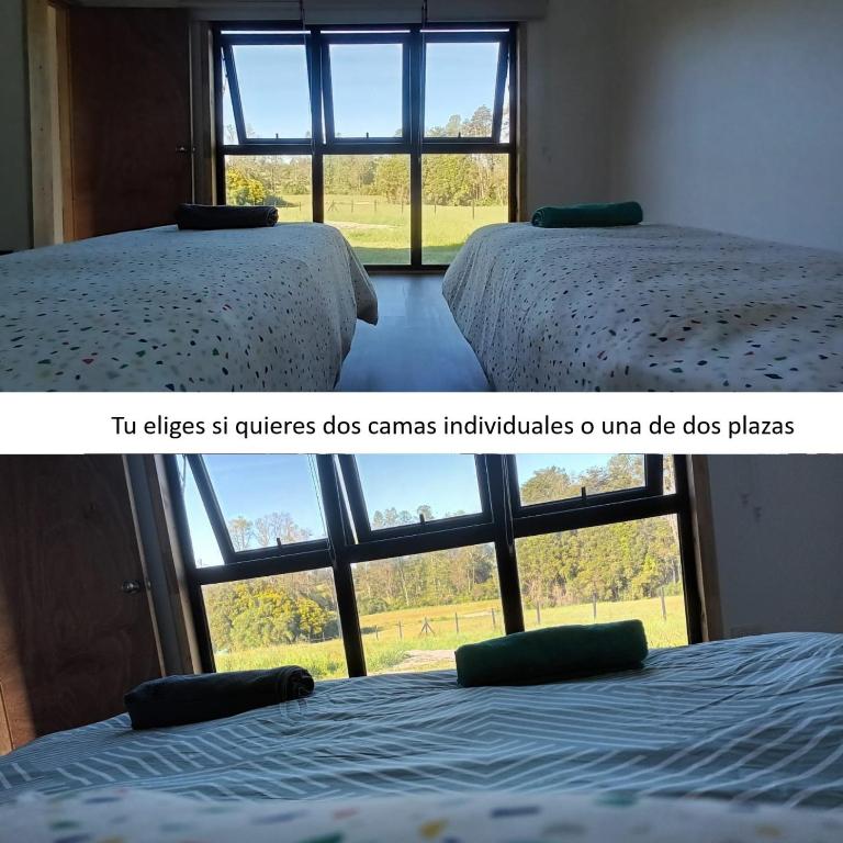 CasaGolondrina, naturaleza, aves cerca de Frutillar - One-Bedroom Chalet - 17