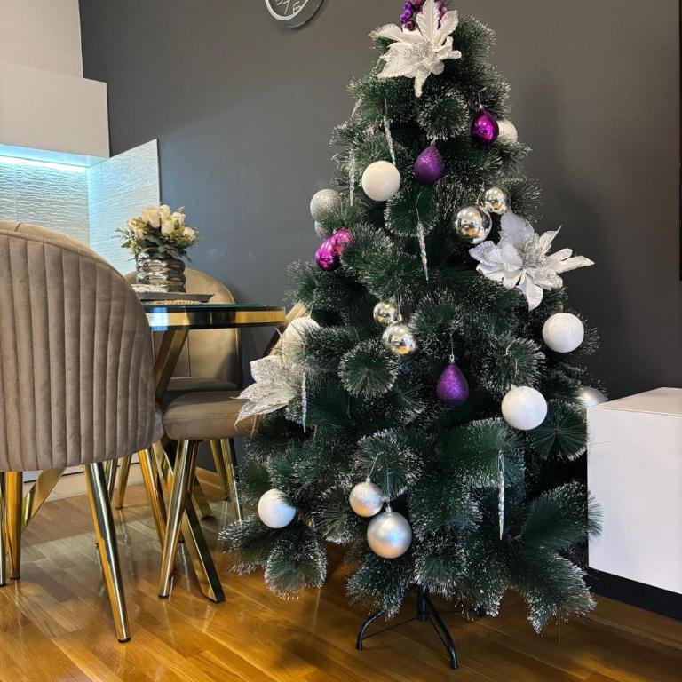 Apartman Korać - Apartman sa 1 Spavaćom Sobom - 8
