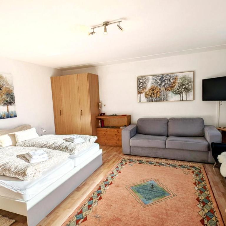 Imhof Alpine B&B Apartments - Superior Studio - 12