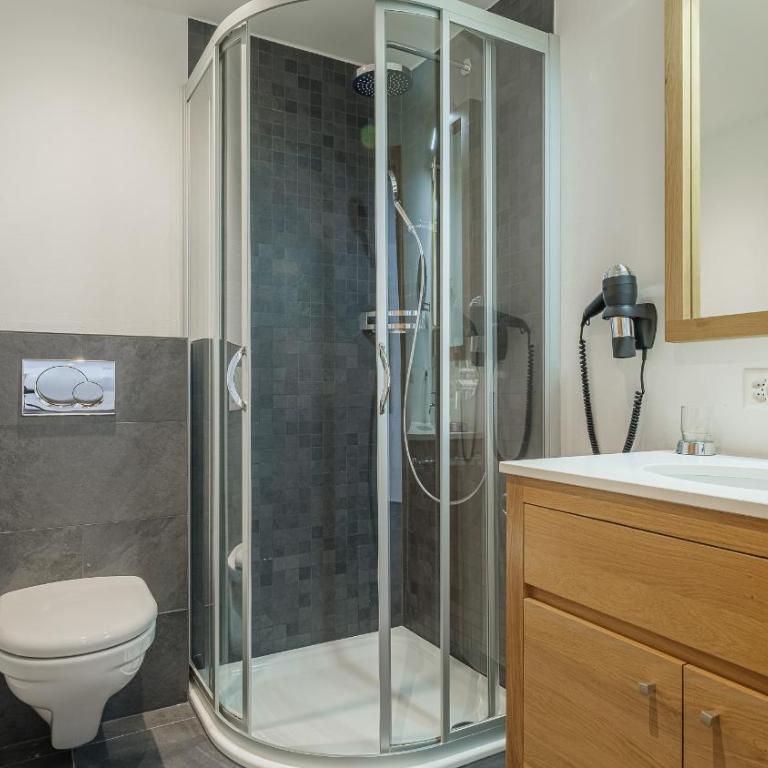Haus Zur Matte by Zermatt Premium Apartments - Nordwand - One-Bedroom Apartment - 10