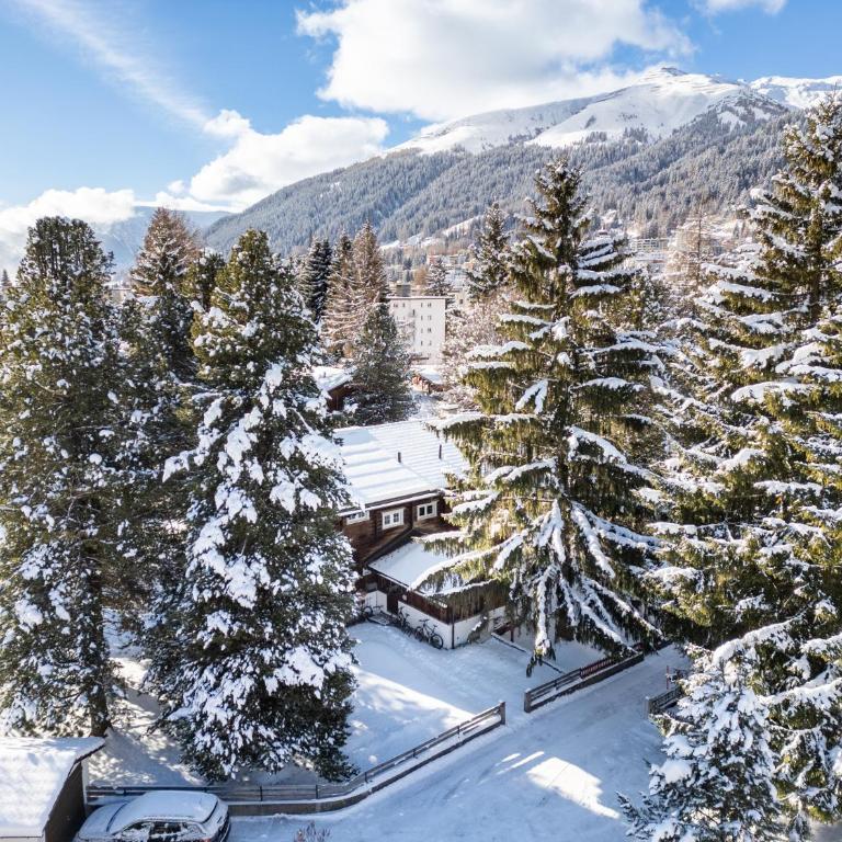 A&Y Chalet Davos Central - Chalet - 60