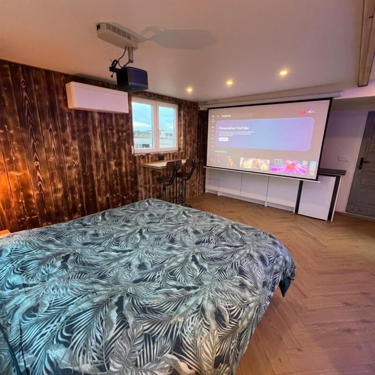 Chalet sur le toit de Strasbourg SPA Cinéma - Apartamento de 1 dormitorio - 3