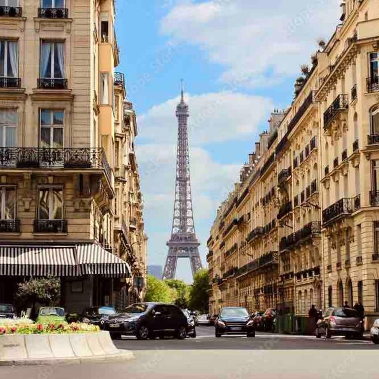Effeil Tower Luxury Apartment Trocadéro -2 bedrooms - Appartement 2 Chambres Deluxe - 5