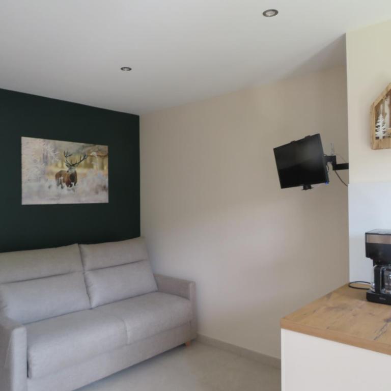 Magnifique studio Megève - Appartamento con 1 Camera da Letto - 7