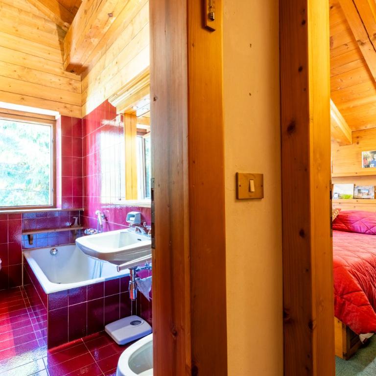 Villa Allegra 2 Tofane monuntains view - Appartamento con 3 Camere da Letto - 6